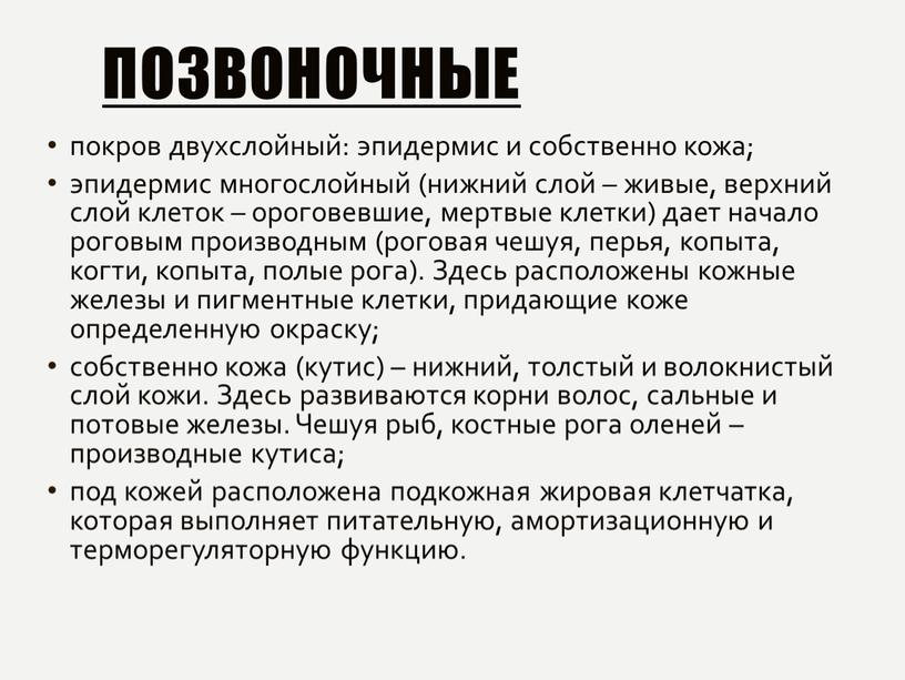 Позвоночные покров двухслойный: эпидермис и собственно кожа; эпидермис многослойный (нижний слой – живые, верхний слой клеток – ороговевшие, мертвые клетки) дает начало роговым производным (роговая…