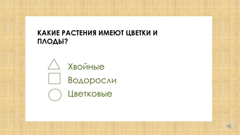 Презентация на тему Контроль и оценка на уроках окружающего мира