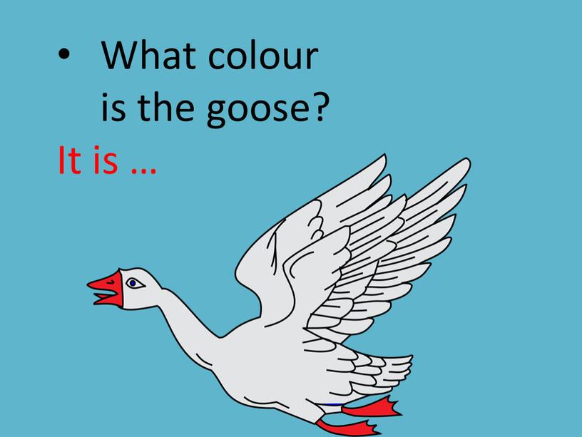 What colour is the goose? It is …