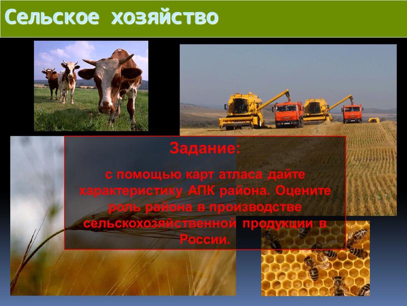 Сельское хозяйство Задание: с помощью карт атласа дайте характеристику