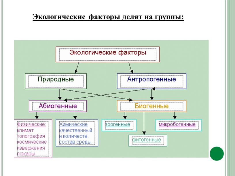 Экологические факторы делят на группы: