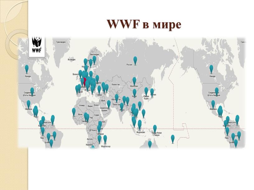 WWF в мире