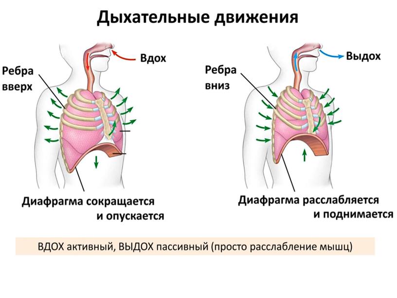 Подготовка к контрольной работе за курс 8-го класса