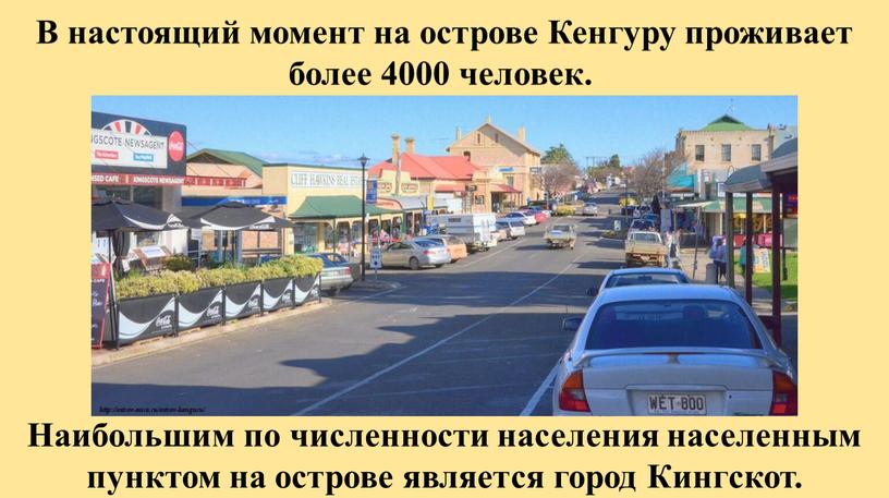 В настоящий момент на острове Кенгуру проживает более 4000 человек