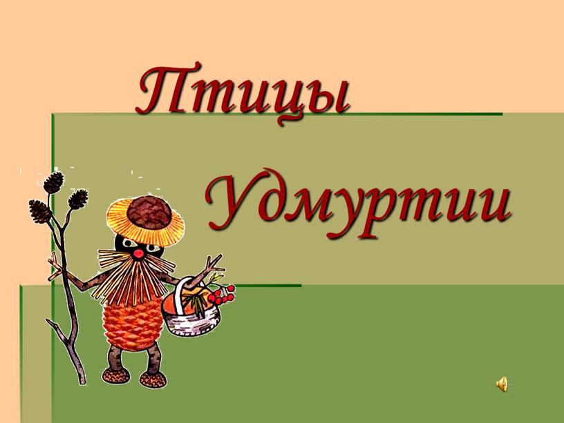 Птицы Удмуртии