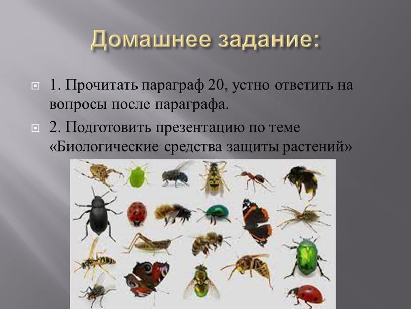 Домашнее задание: 1. Прочитать параграф 20, устно ответить на вопросы после параграфа