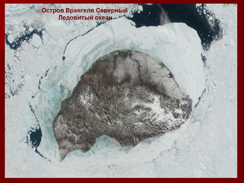 Остров Врангеля Северный Ледовитый океан