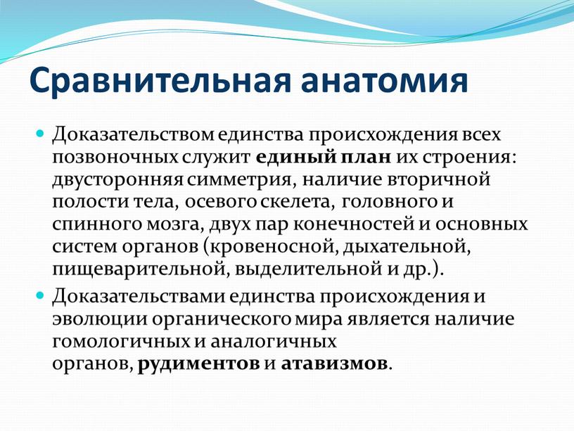 Сравнительная анатомия Доказательством единства происхождения всех позвоночных служит единый план их строения: двусторонняя симметрия, наличие вторичной полости тела, осевого скелета, головного и спинного мозга, двух…