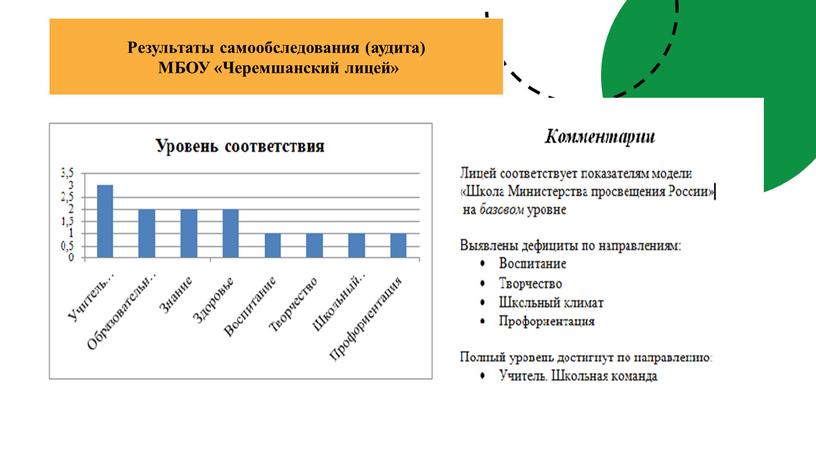 Результаты самообследования (аудита)