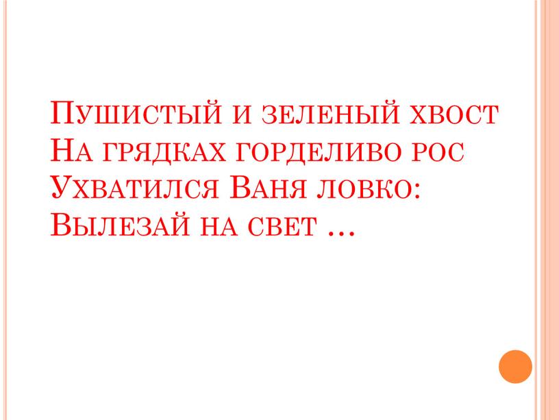 Пушистый и зеленый хвост На грядках горделиво рос