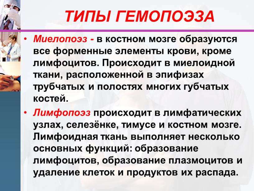 ТИПЫ ГЕМОПОЭЗА Миелопоэз - в костном мозге образуются все форменные элементы крови, кроме лимфоцитов