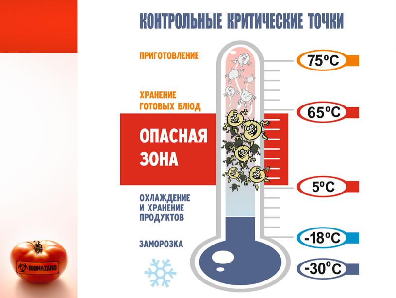 ХАССП  для предприятия общественного питания, выполнила студентка Исупова С.