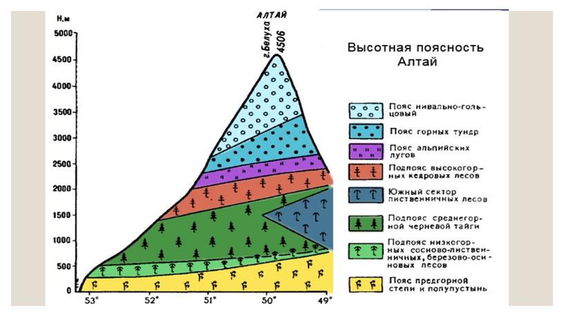 Презентация к уроку географии "высотная поясность"