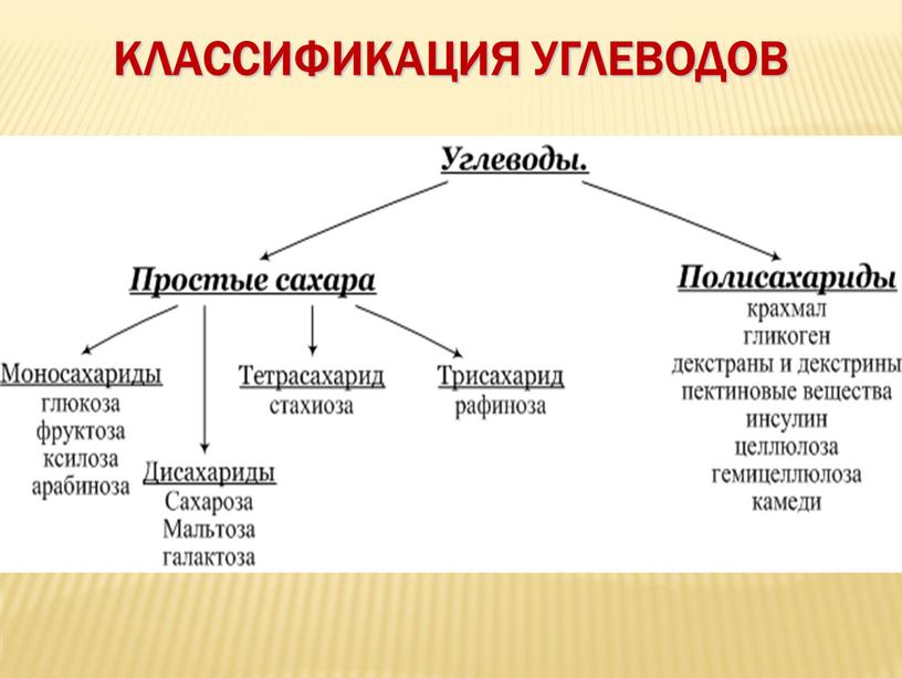 Классификация углеводов