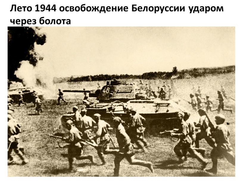 Лето 1944 освобождение Белоруссии ударом через болота