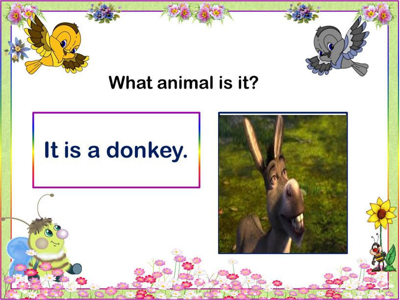 What animal is it? It is a donkey