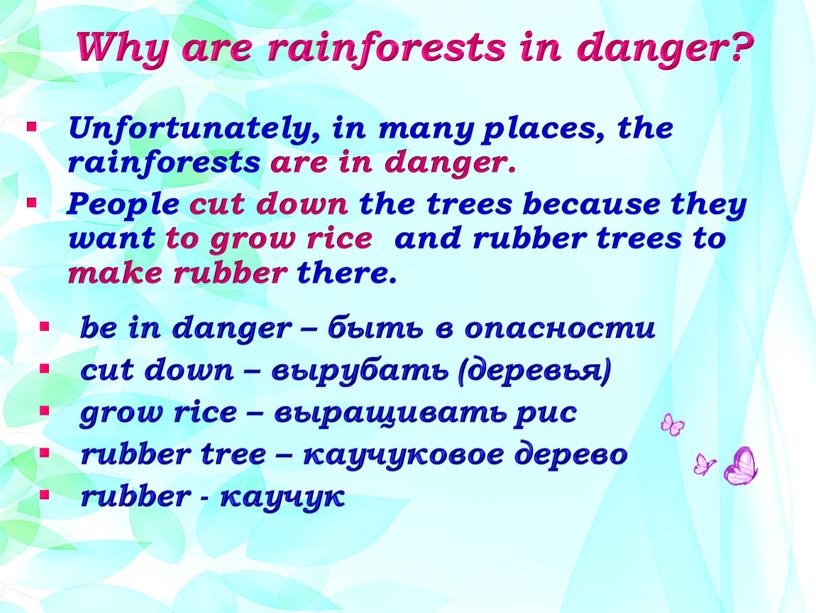 Why are rainforests in danger?