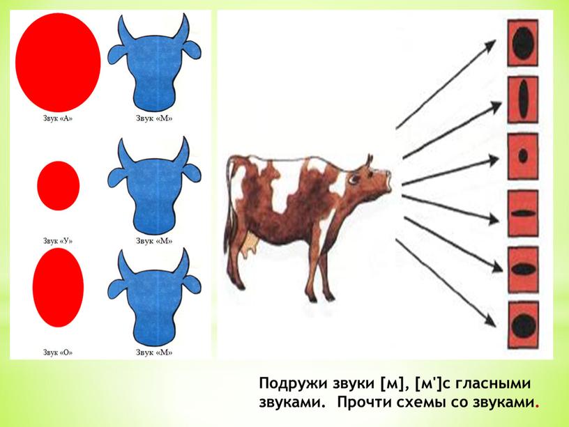 Подружи звуки [м], [м']с гласными звуками