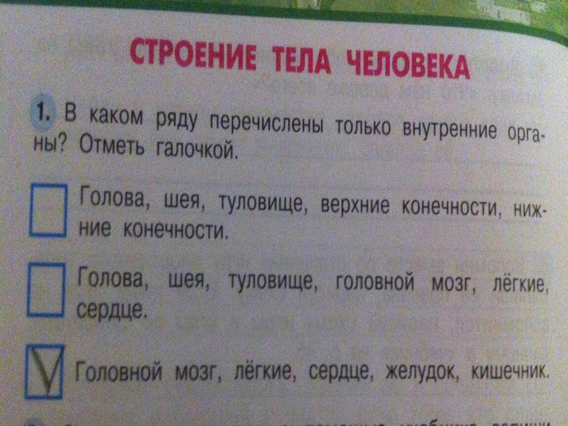 ПРЕЗЕНТАЦИЯ  КАК РАБОТАЕТ НАШ ОРГАНИЗМ