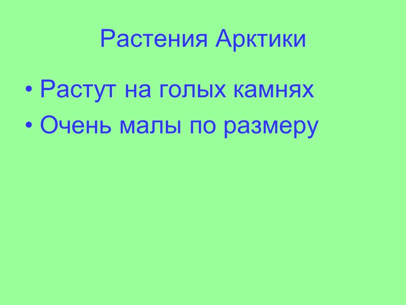 Растения Арктики Растут на голых камнях