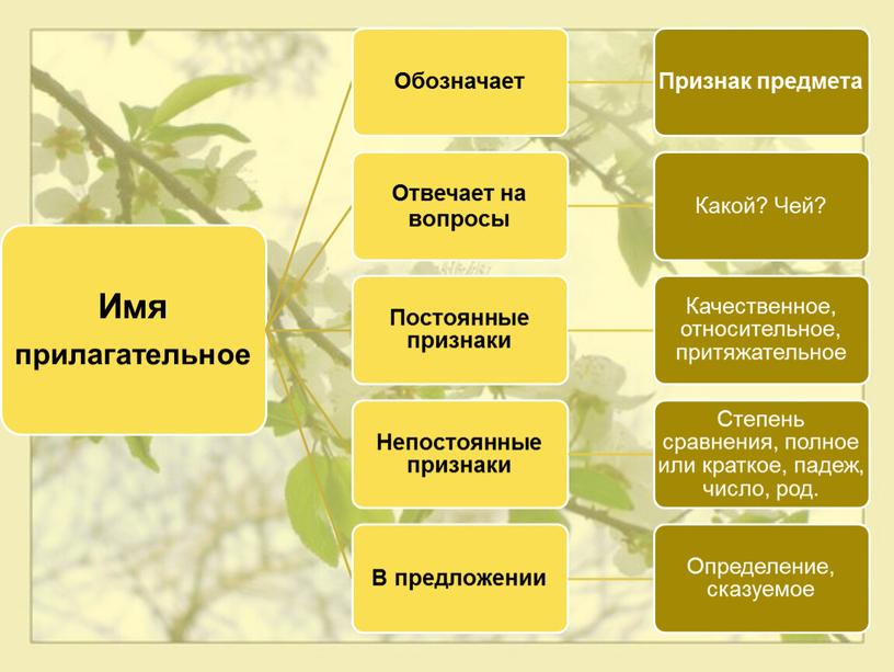 Обобщающий урок русского языка в 3 классе по теме  «Имя  прилагательное как часть речи»