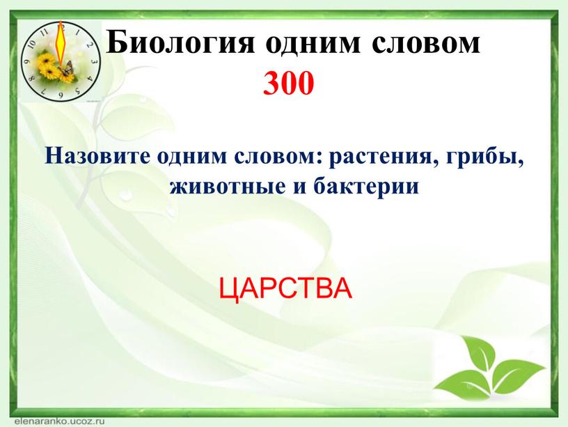 Биология одним словом 300 Назовите одним словом: растения, грибы, животные и бактерии