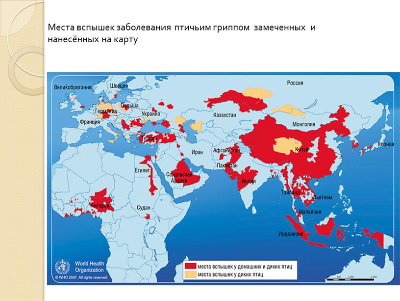 Места вспышек заболевания птичьим гриппом замеченных и нанесённых на карту