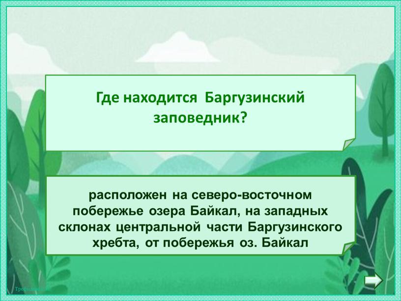 Байкал, на западных склонах центральной части