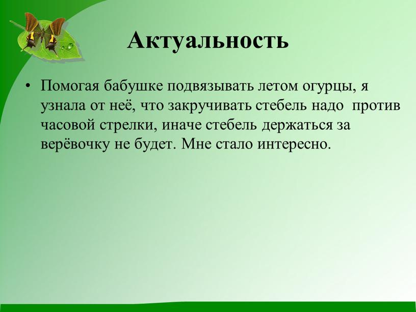 Актуальность Помогая бабушке подвязывать летом огурцы, я узнала от неё, что закручивать стебель надо против часовой стрелки, иначе стебель держаться за верёвочку не будет