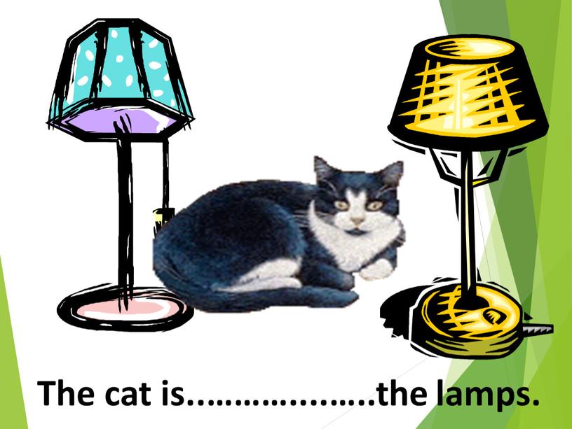 The cat is..………....…..the lamps