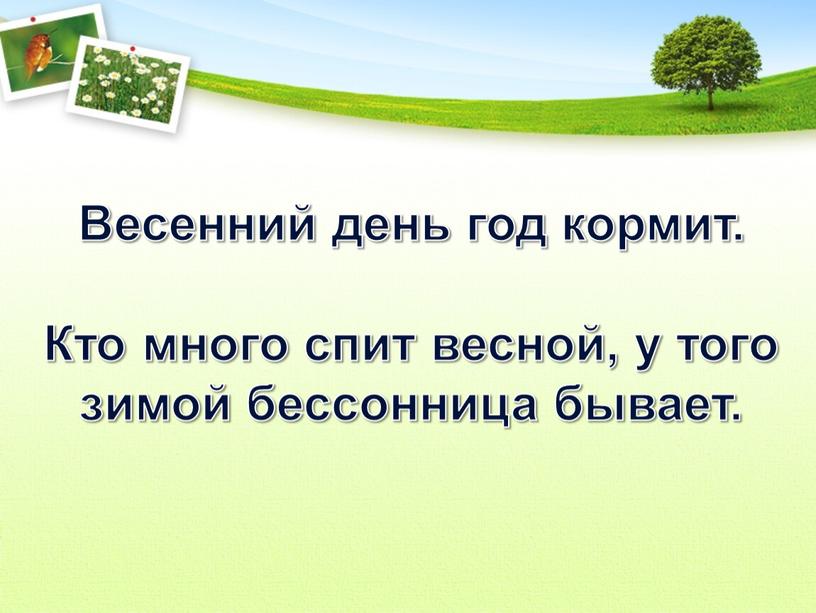 Весенний день год кормит. Кто много спит весной, у того зимой бессонница бывает