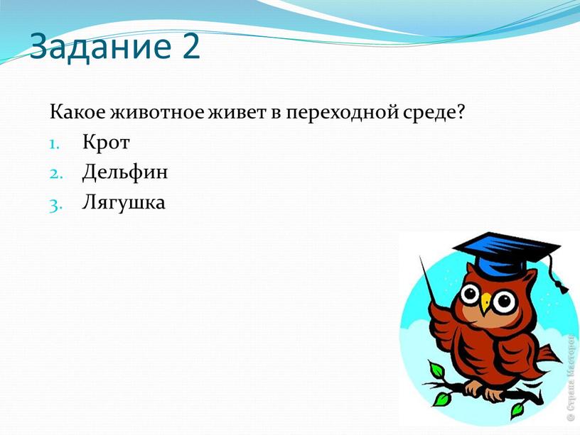 Задание 2 Какое животное живет в переходной среде?