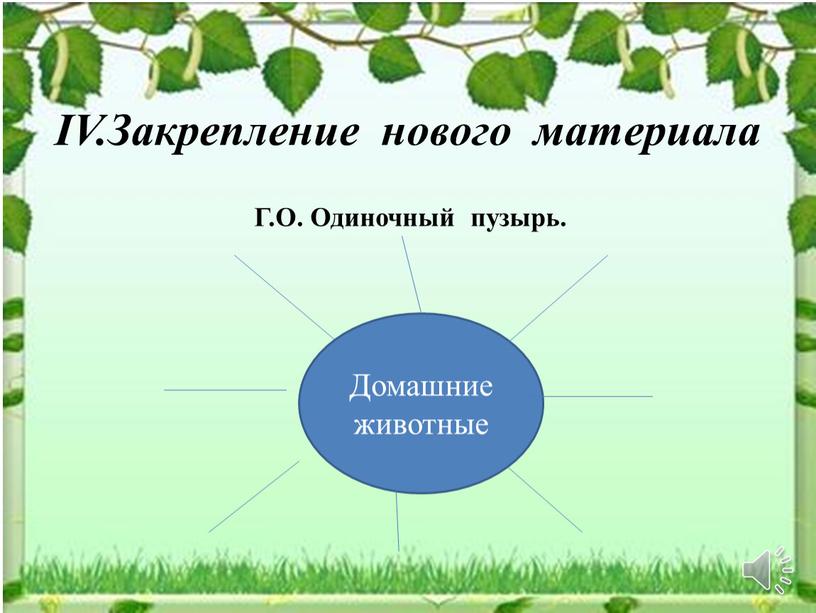 V.Закрепление нового материала