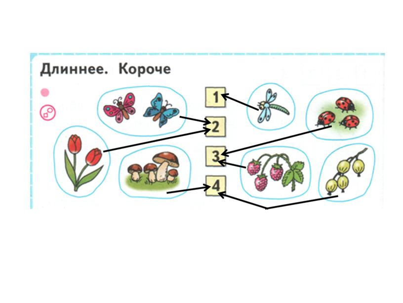 Презентация к уроку математики в 1 классе Понятия "длиннее", "короче", "одинаковые по длине".