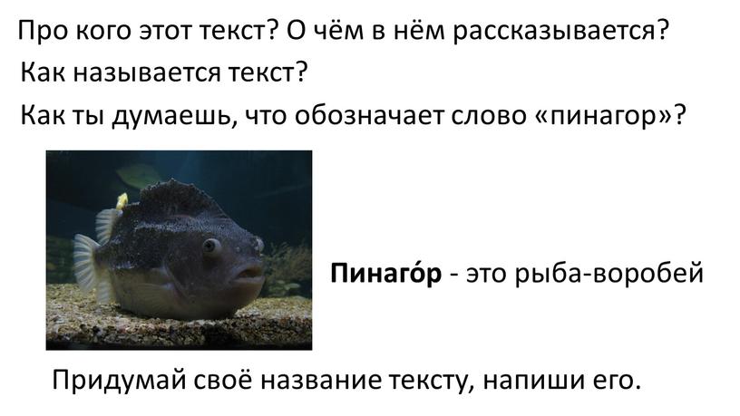 Как называется текст? Как ты думаешь, что обозначает слово «пинагор»?