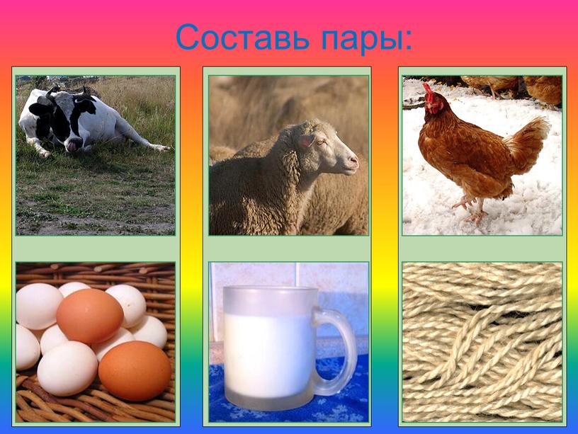 Составь пары: