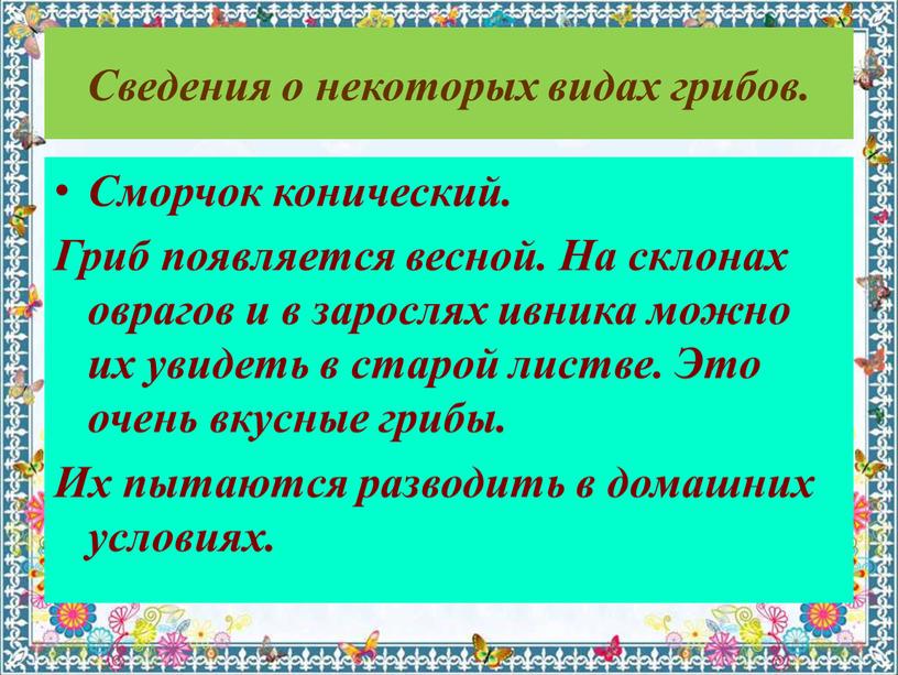 Сведения о некоторых видах грибов