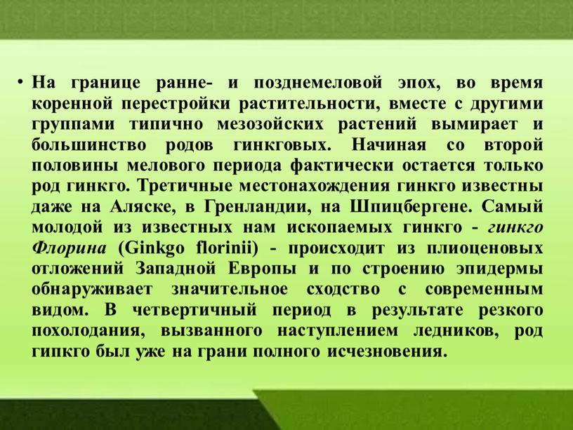 На границе ранне- и позднемеловой эпох, во время коренной перестройки растительности, вместе с другими группами типично мезозой­ских растений вымирает и большинство родов гинкговых