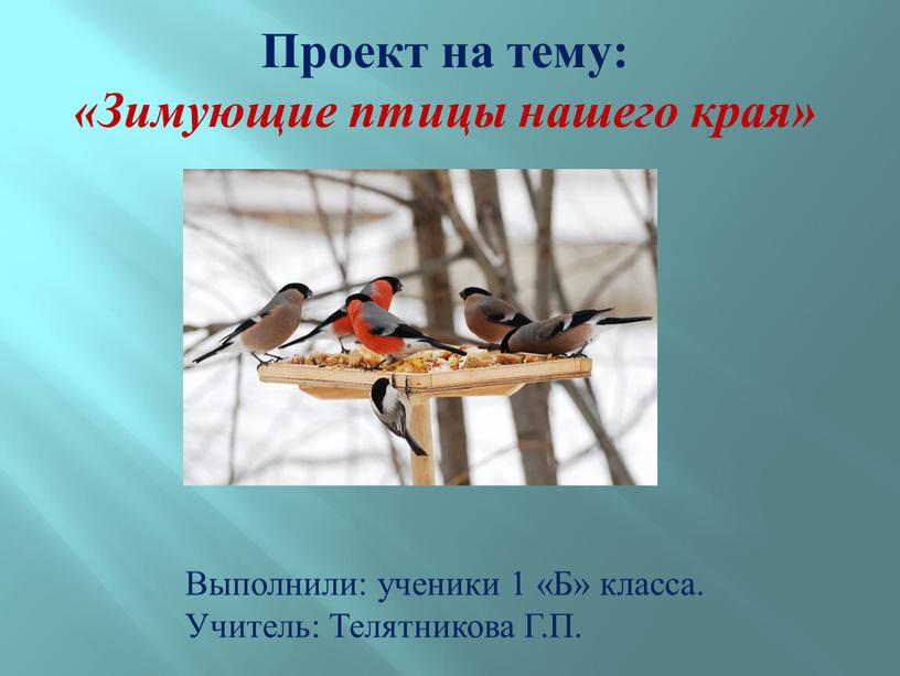 Проект на тему: «Зимующие птицы нашего края»