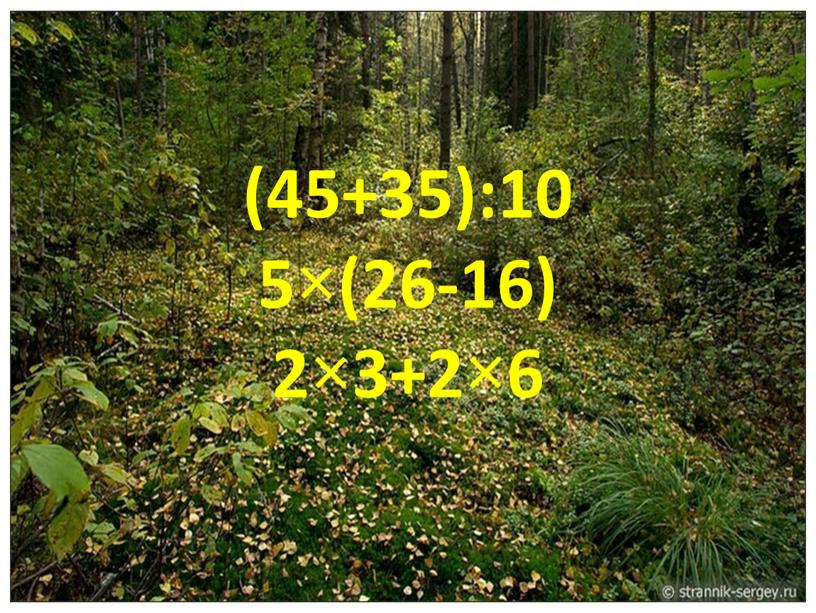 (45+35):10 5×(26-16) 2×3+2×6