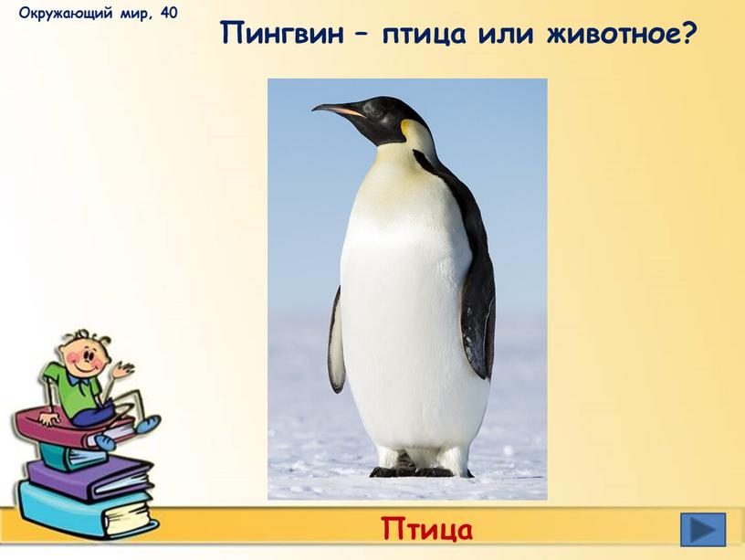 Окружающий мир, 40 Пингвин – птица или животное?