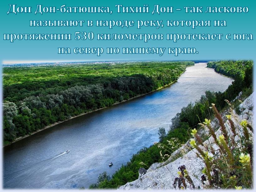 Дон Дон-батюшка, Тихий Дон – так ласково называют в народе реку, которая на протяжении 530 километров протекает с юга на север по нашему краю