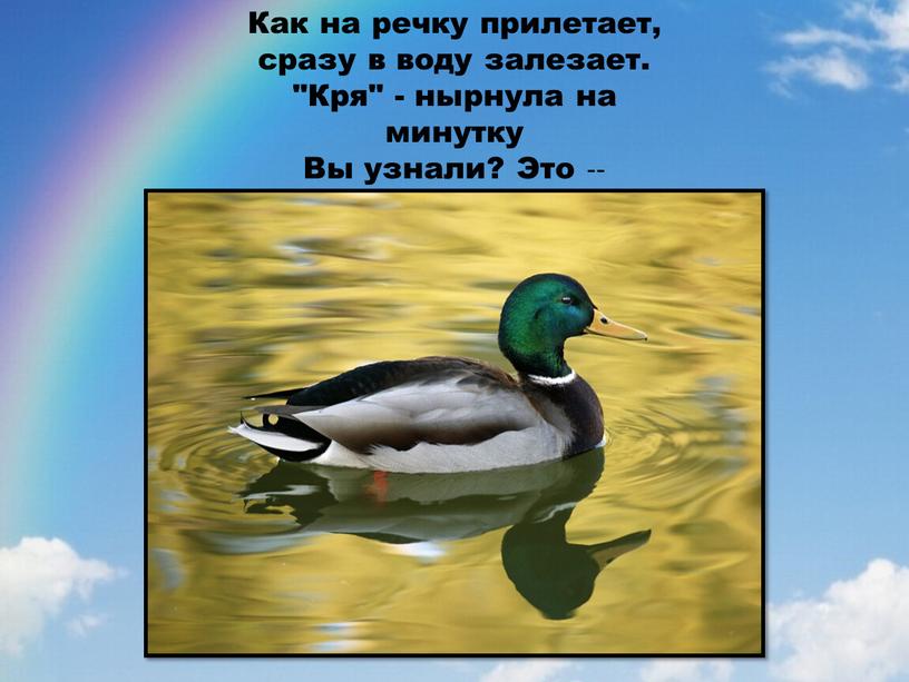 Как на речку прилетает, сразу в воду залезает