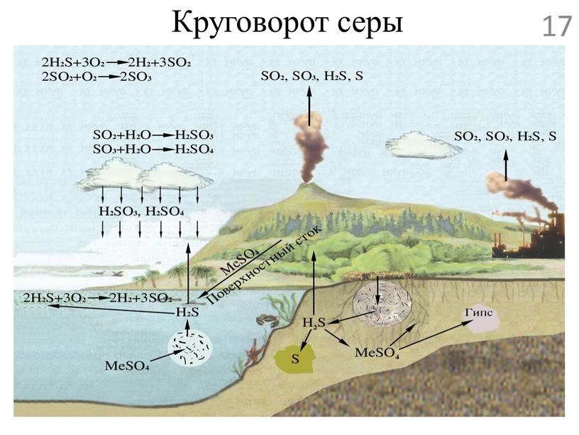 Круговорот серы 17