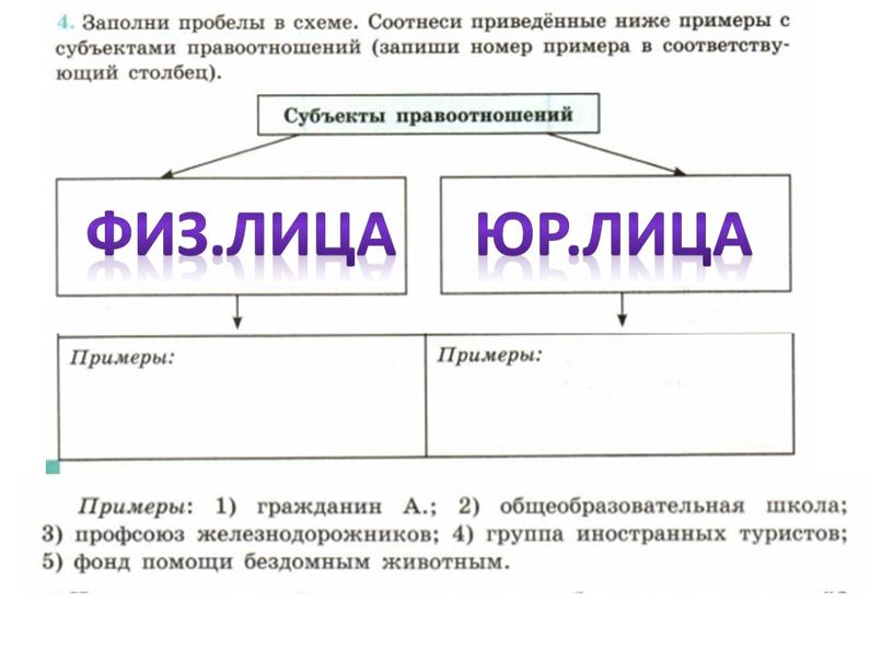 Физ.лица юр.лица