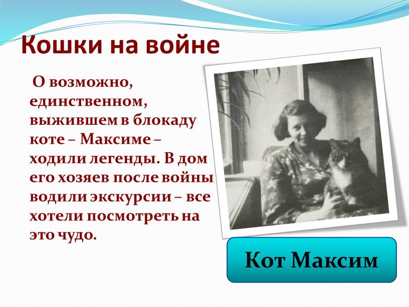 Кошки на войне О возможно, единственном, выжившем в блокаду коте –