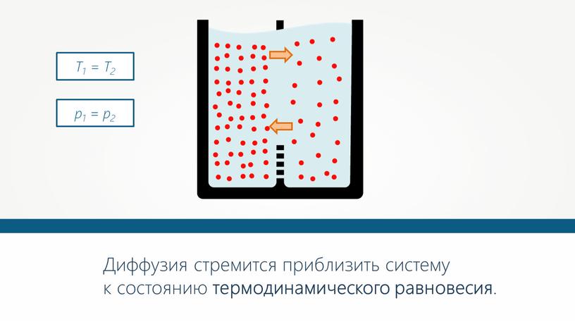 Диффузия стремится приблизить систему к состоянию термодинамического равновесия