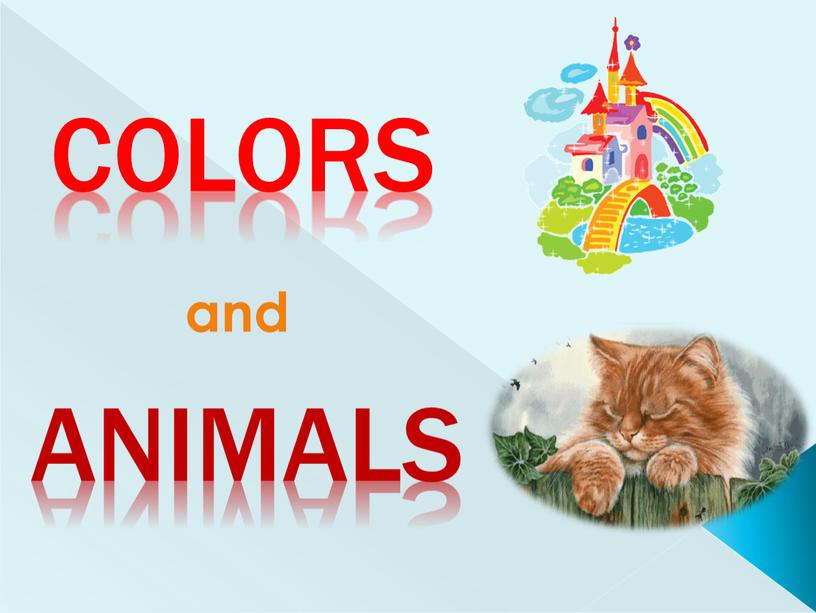 Colors ANIMALS and