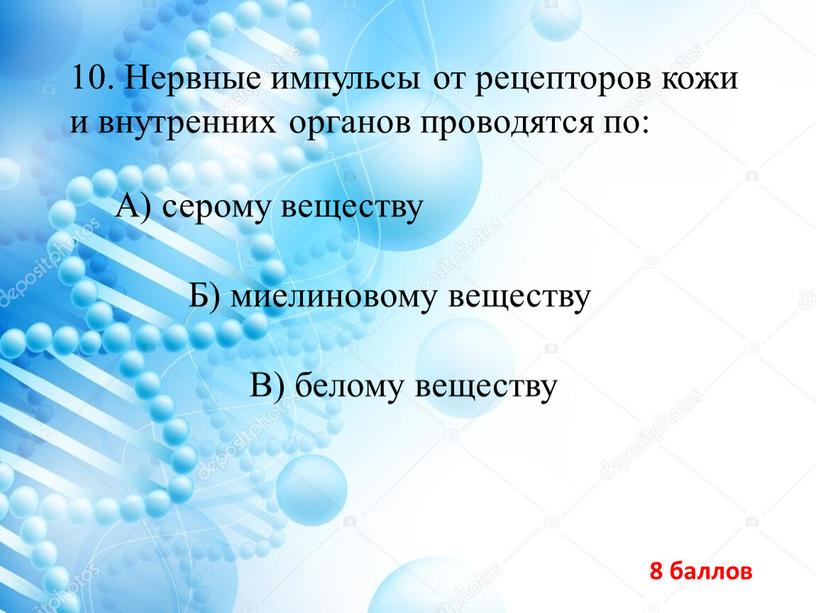 Нервные импульсы от рецепторов кожи и внутренних органов проводятся по: