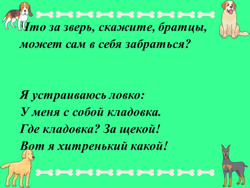 Что за зверь, скажите, братцы, может сам в себя забраться?